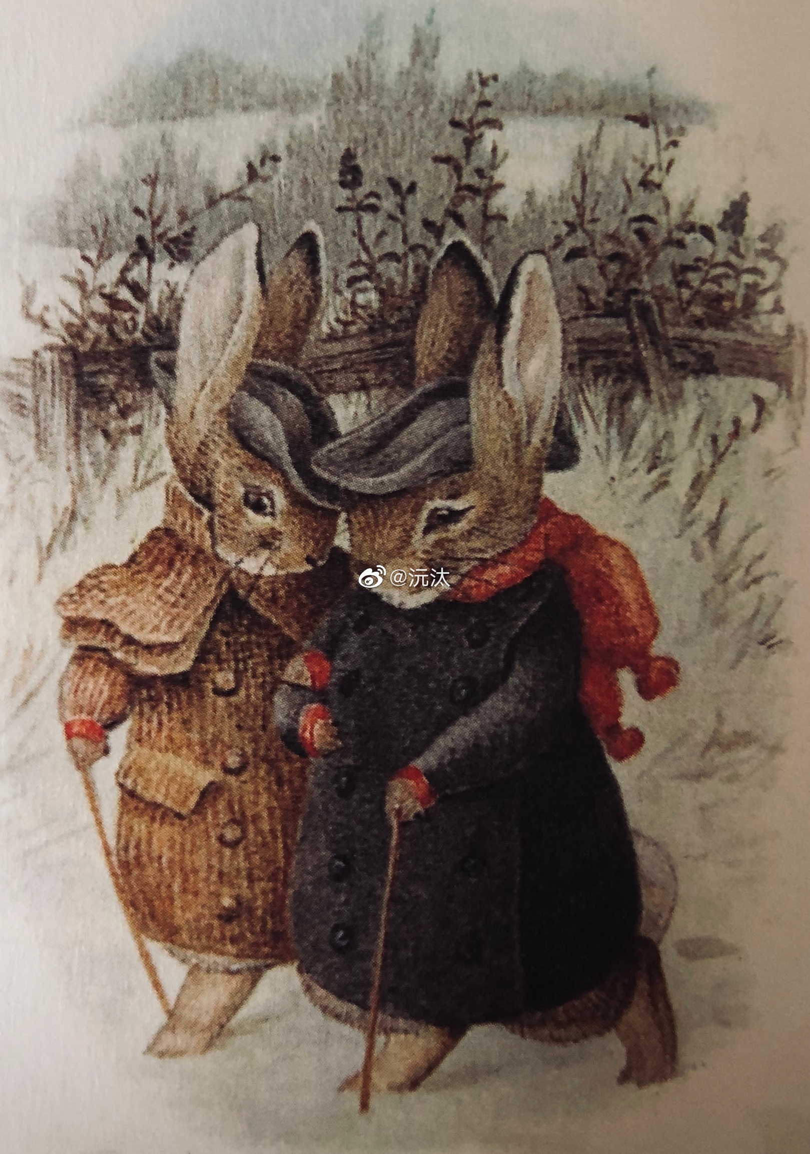 超级喜欢《彼得兔》,故事和插画都喜欢