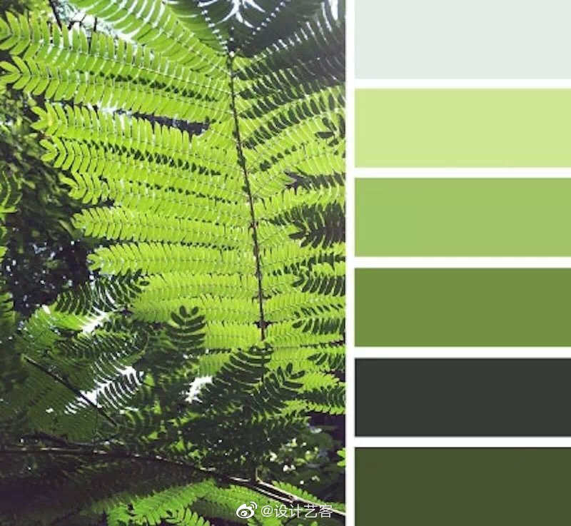 绿色的渐变,充满生命力的配色. .__财经头条