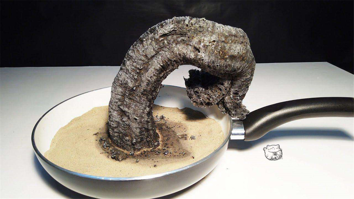 日本正在流行一种叫猫便便蛇炮的烟花受到小朋友的喜爱