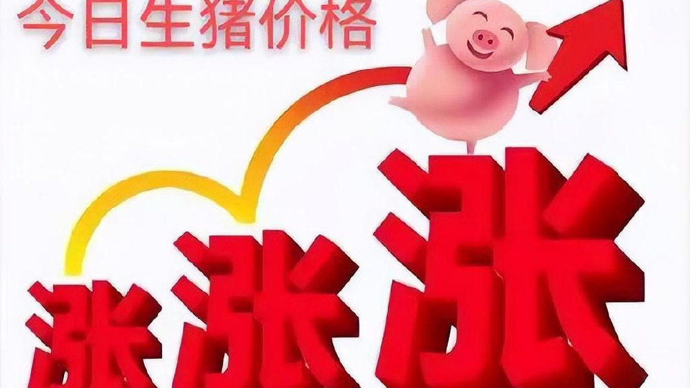 财联社VIP研报实时同步【【国海农业】生猪：周期未去，调整后生猪股迎来配置良机周数据跟踪】