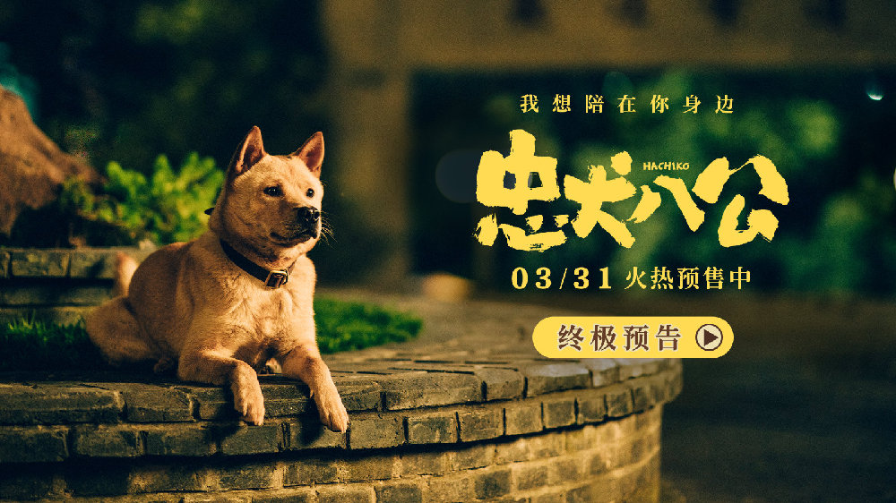 年度重磅情感炸弹《忠犬八公》曝终极预告 真挚感人获观众泪目力赞|忠犬八公|狗狗|白举纲_新浪新闻