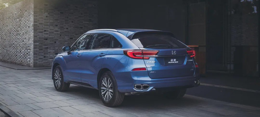 适合才是生存之道！盘点特供车里的优等生