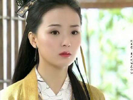 《四大名捕》————水芙蓉《四大名捕》是由2004年车仁表王艳钟汉良