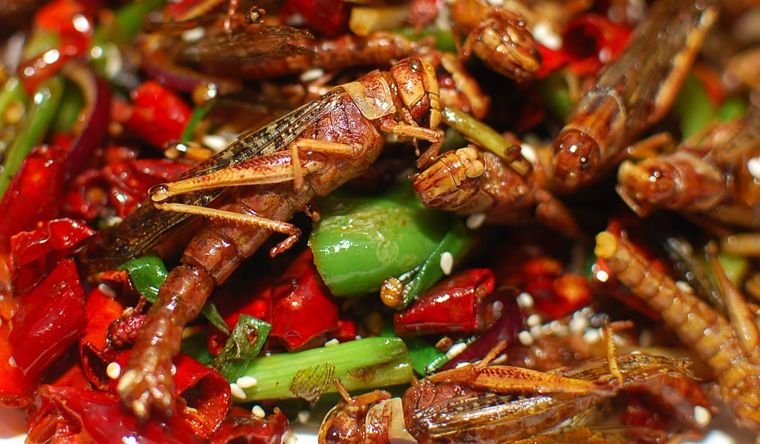 例如蝗虫在美国还是用来招待贵宾的美食,俗称"昆虫宴",所以蝗虫的价值