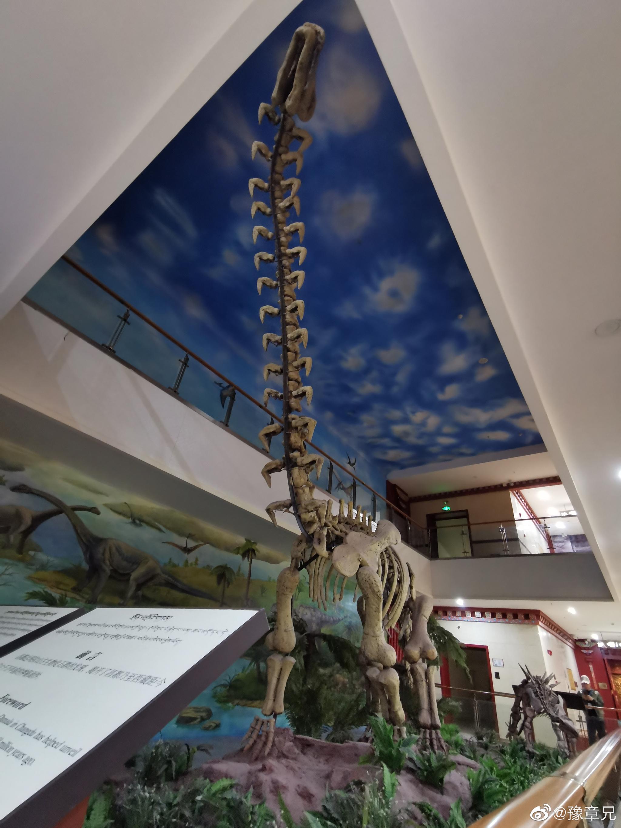 走进昌都市博物馆_高清图集_新浪网