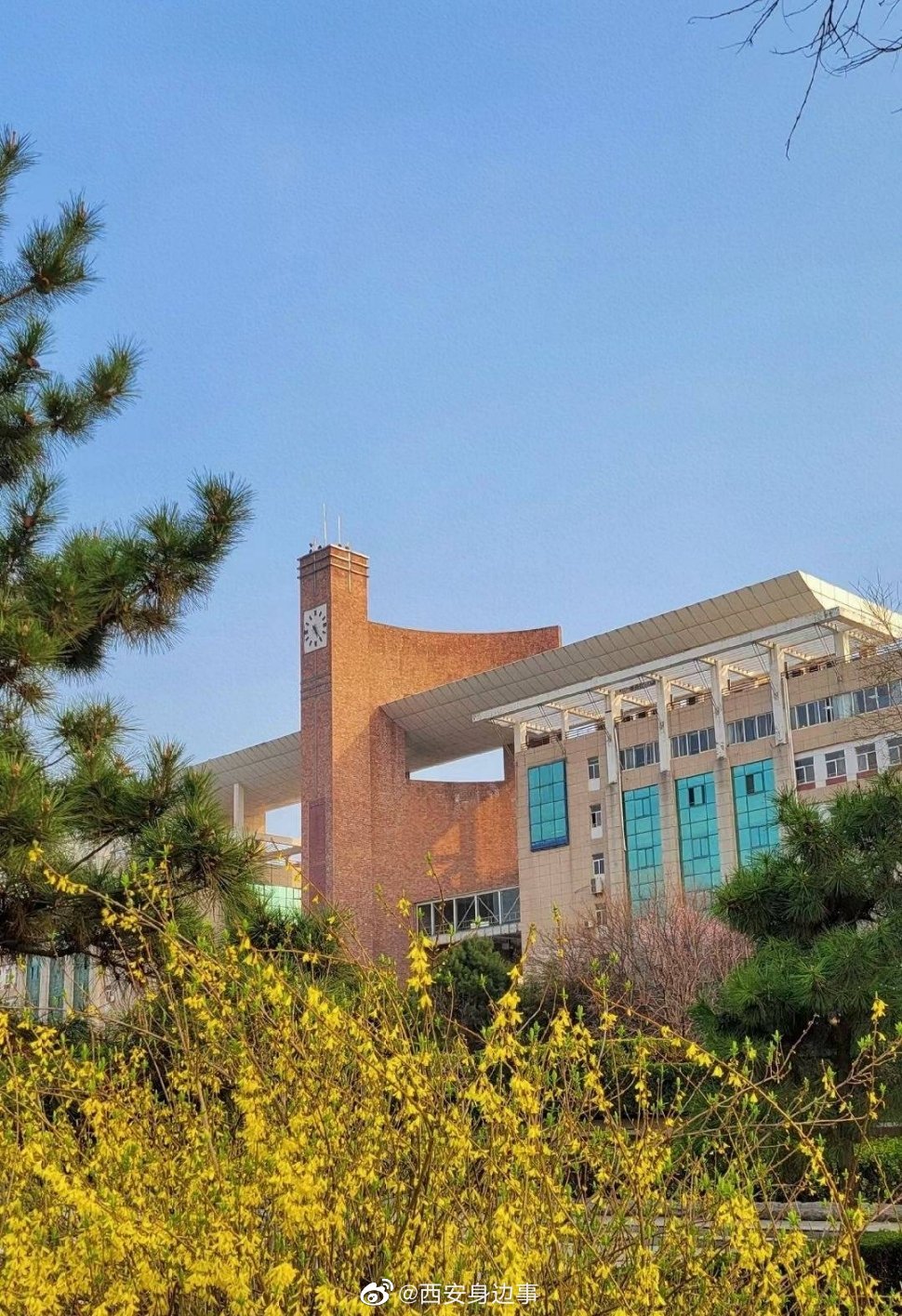 阳春三月万物复苏三月的春意