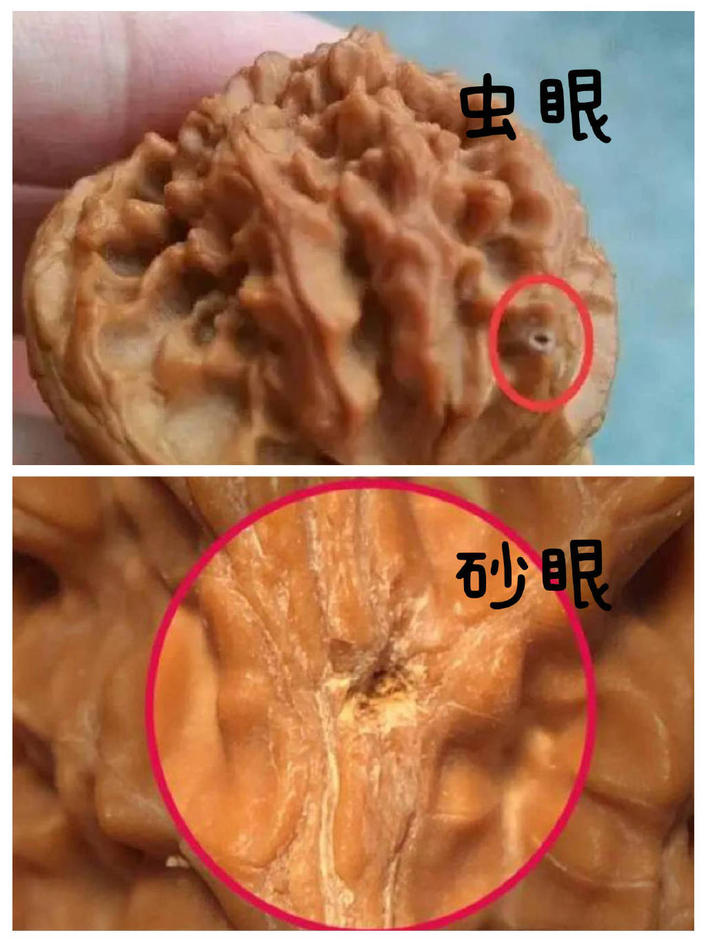 新一年文玩核桃下树季,这几种核桃不能沾__财经头条