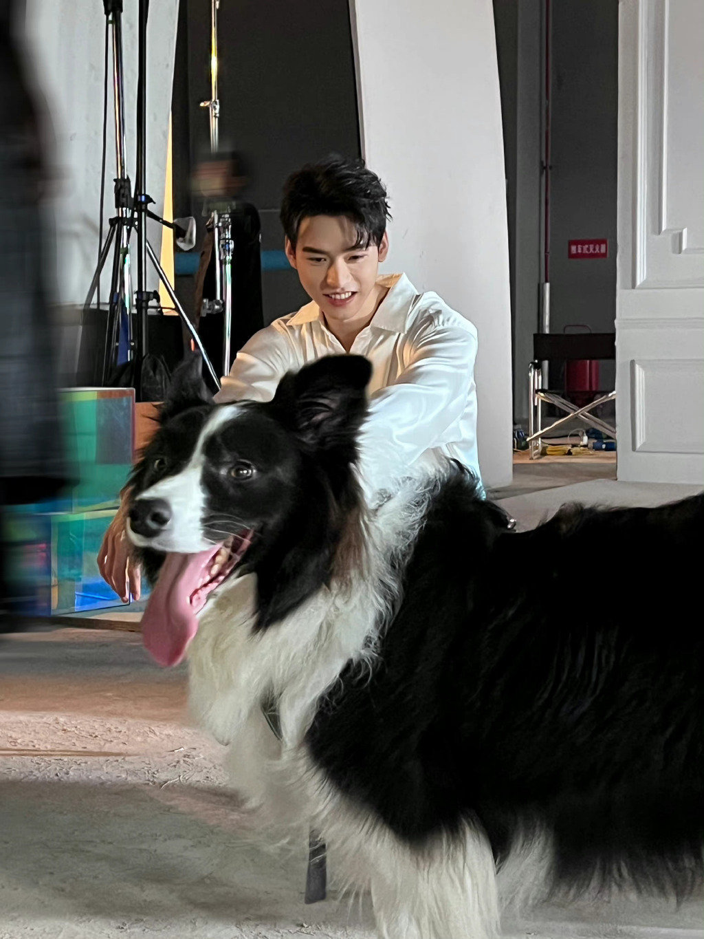 龚俊和小狗玩捉迷藏也太可爱了吧看向小狗狗的眼神好温柔啊