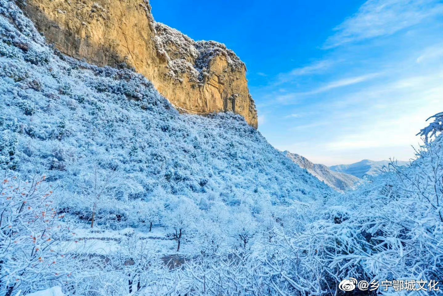 雪中的云丘山,树木,岩石,山路上都仿佛披上了一层晶莹的薄衣