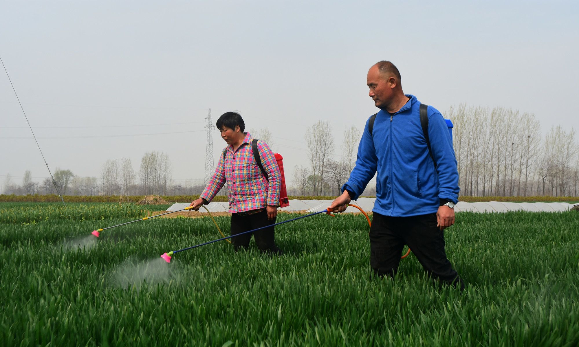 种植庄稼没前途传统农民断代严重我国农业出路在何方
