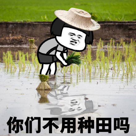 你们城里人一天天真闲