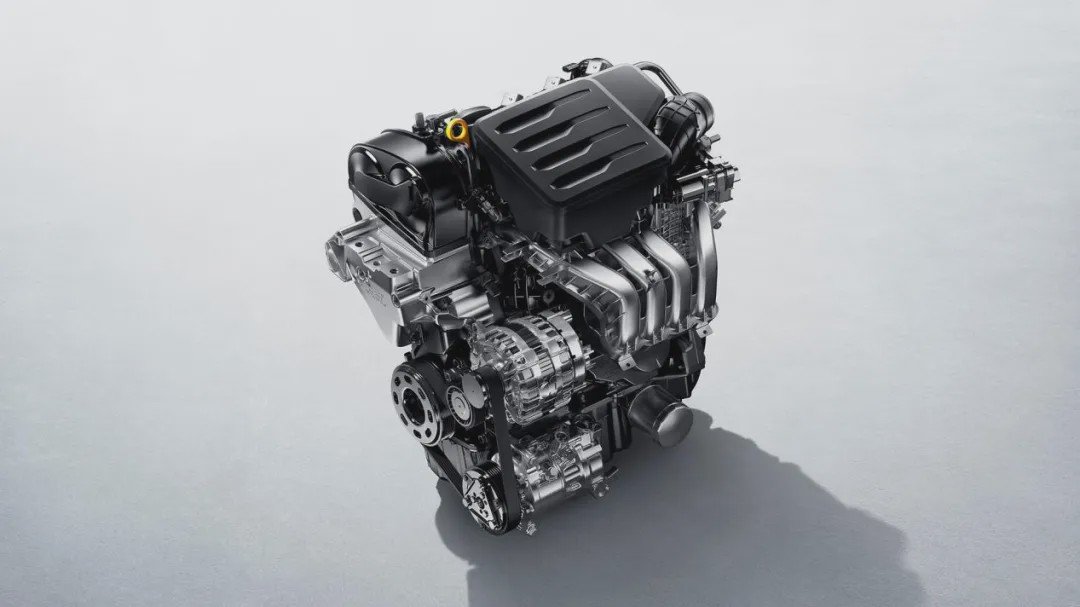 适合才是生存之道！盘点特供车里的优等生