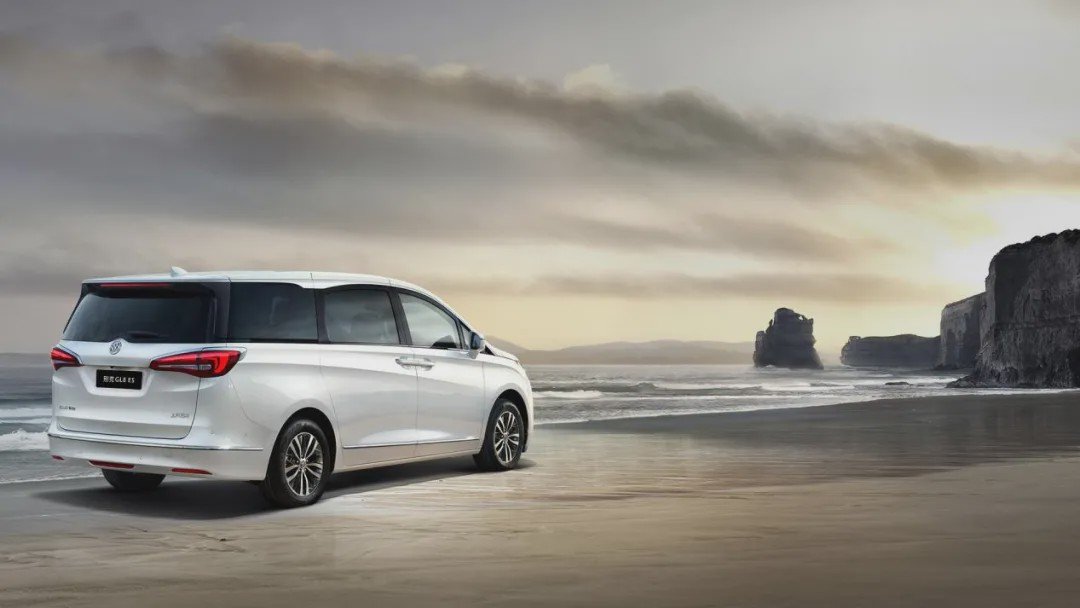 适合才是生存之道！盘点特供车里的优等生