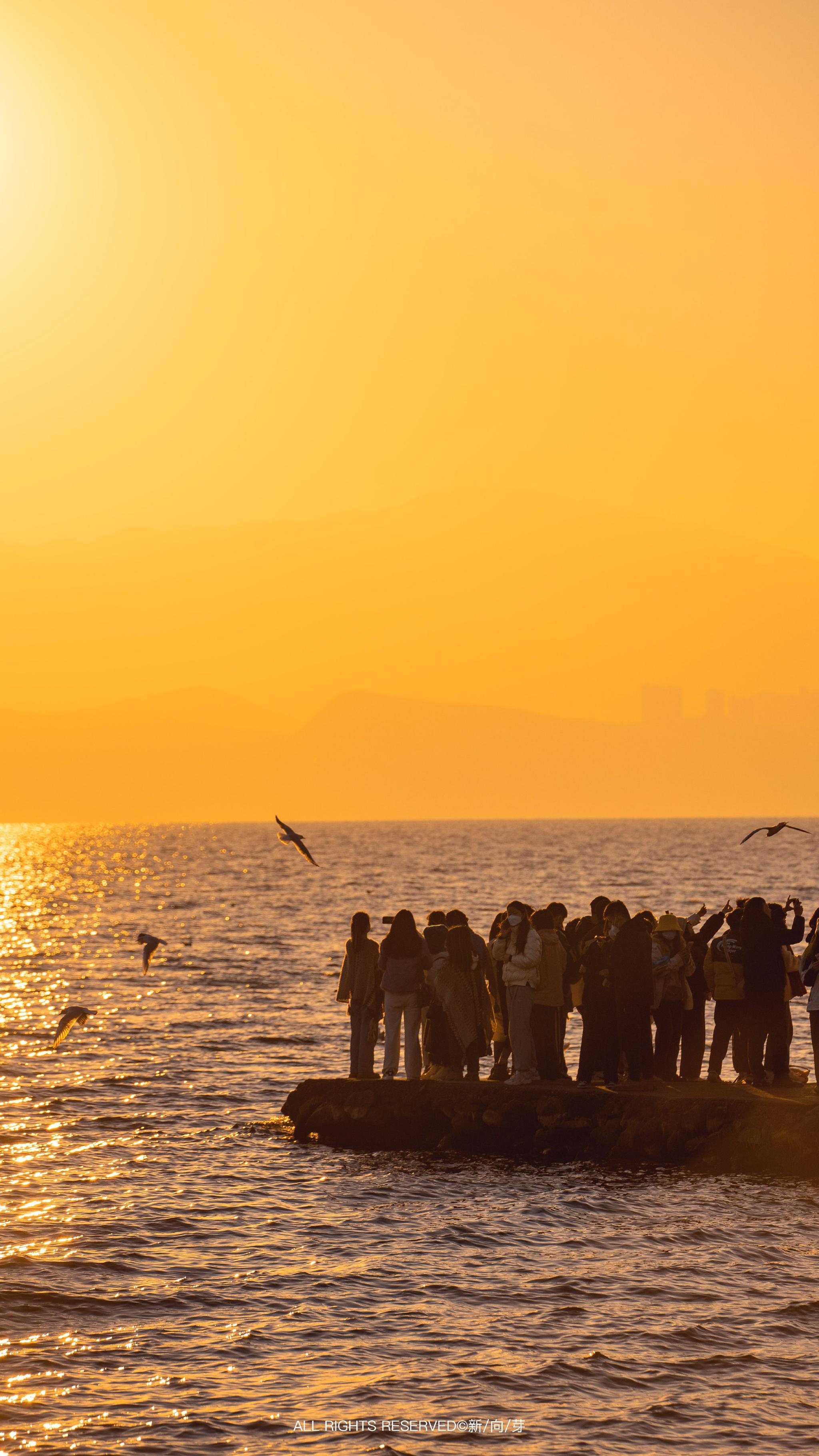 随时随地回看经典战役