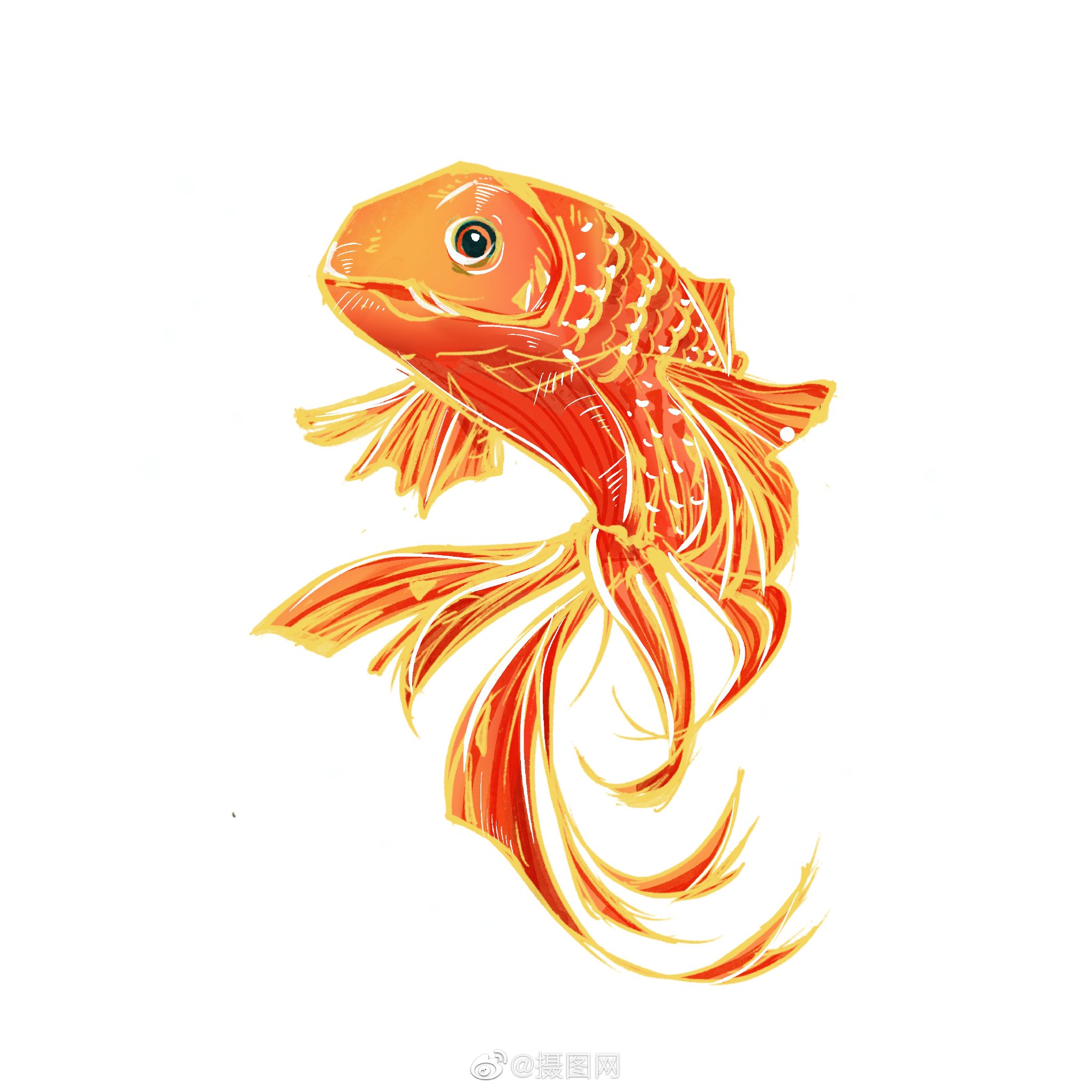 免抠素材|中国风锦鲤手绘插画,转发得好运!