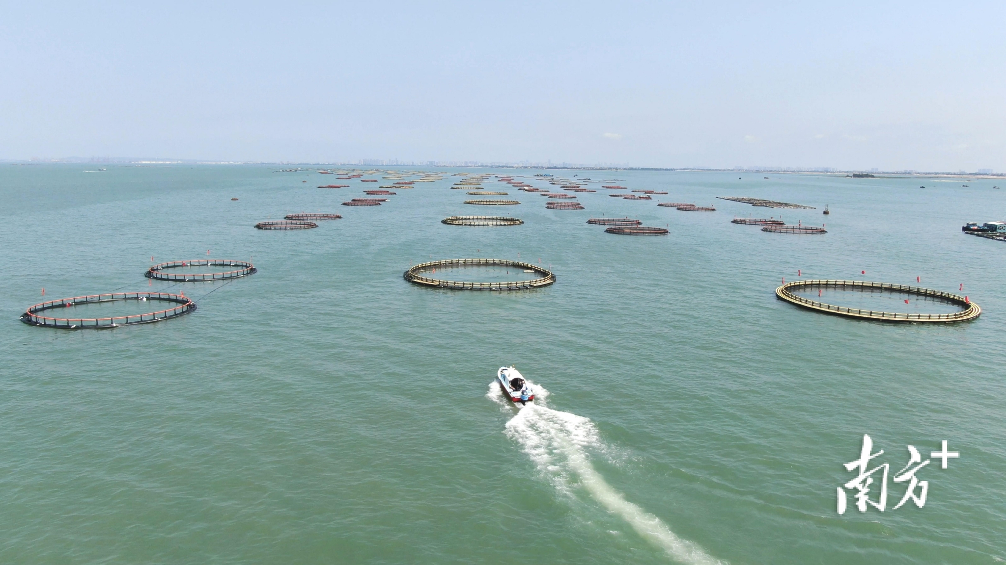 单个网箱产量平均达10万斤湛江深海网箱数量居全省第一