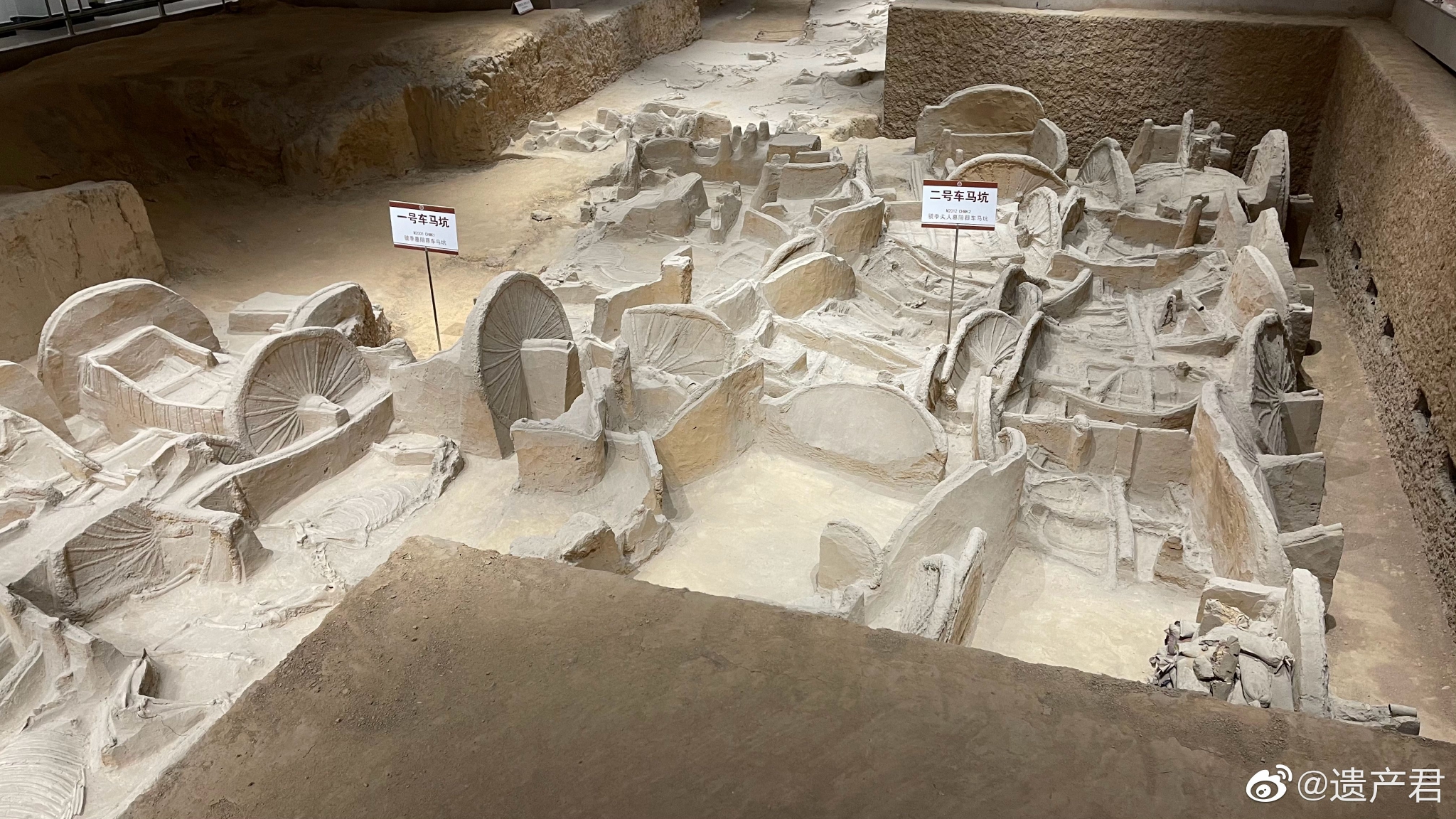 虢国博物馆里展出的西周车马坑遗迹