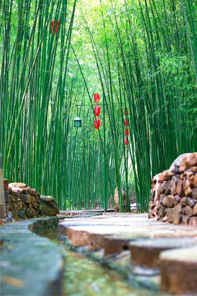 北方少有山东最美的竹林古村竟藏在这泉上竹洞天美景胜江南