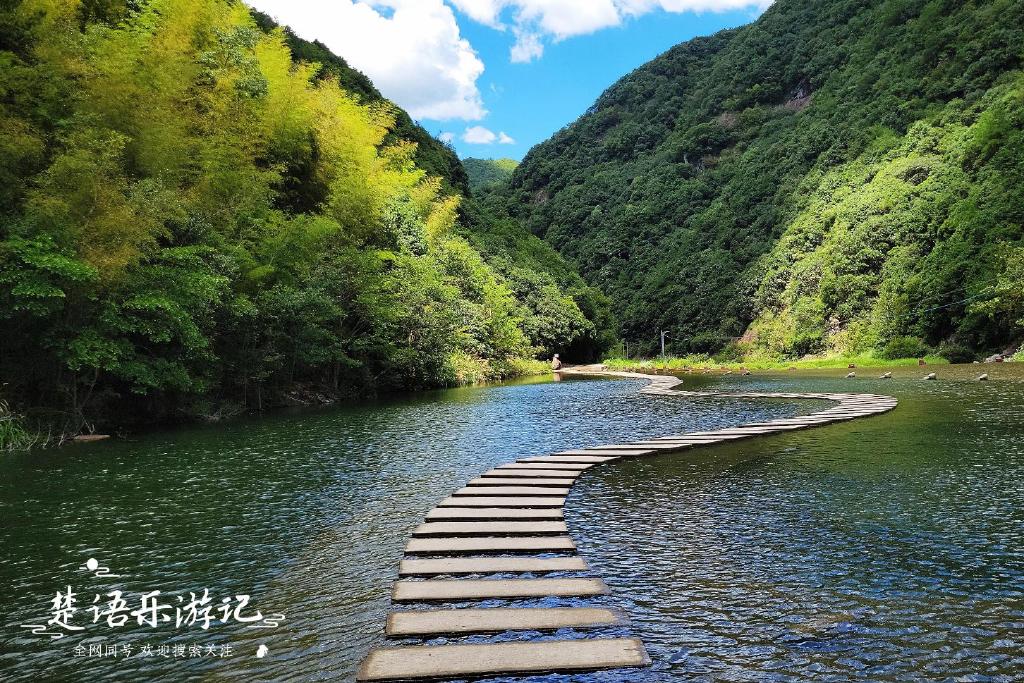 绍兴新昌,身为小县城却拥有近百处旅游景点,多处成为网红打卡