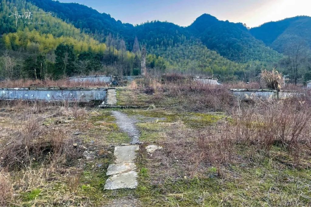 的硅化木,竟然被杭州人往里面塞了石块|大涤山|硅化木|石块_新浪新闻