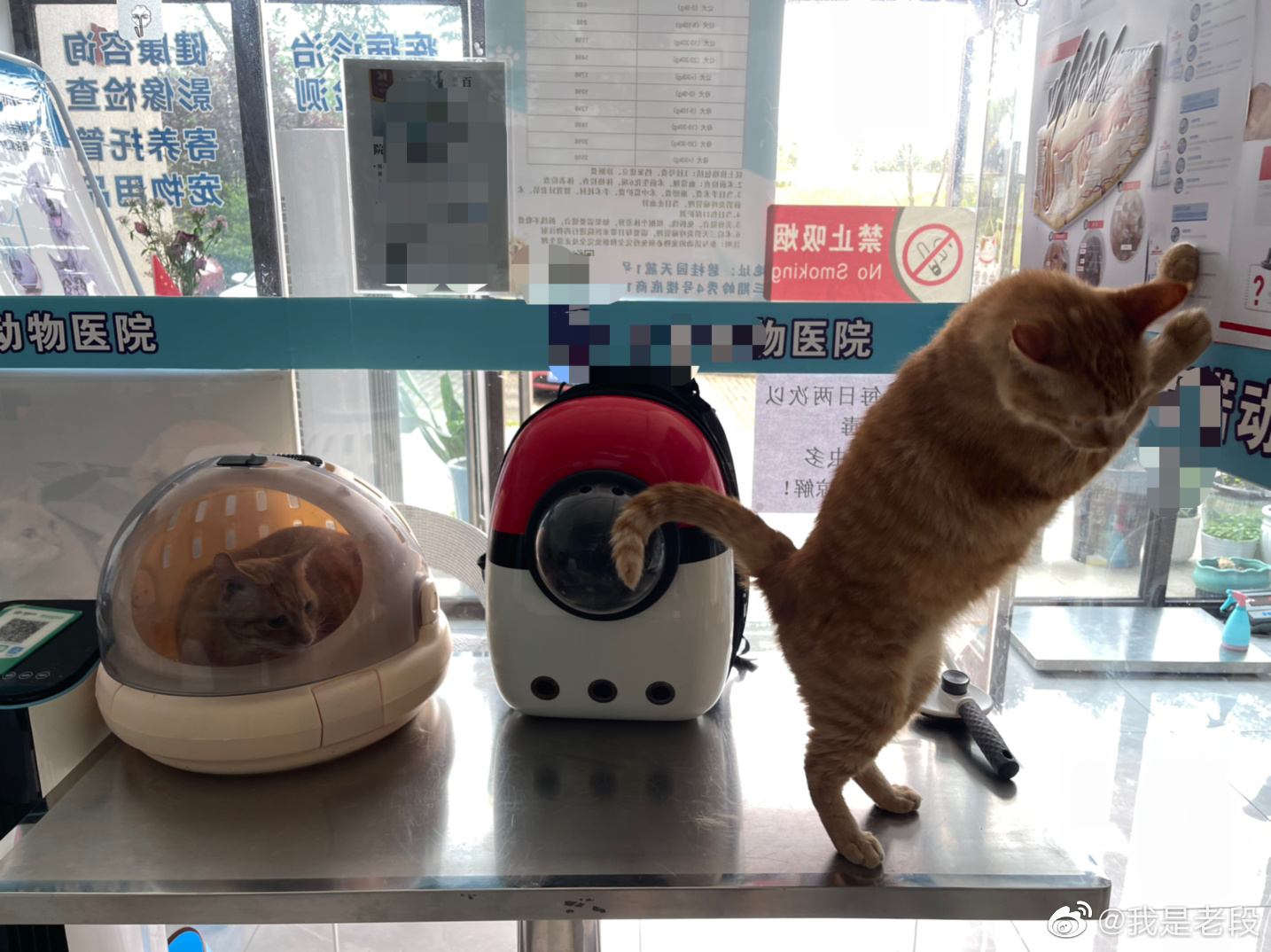 社牛和社恐的区别财经头条 