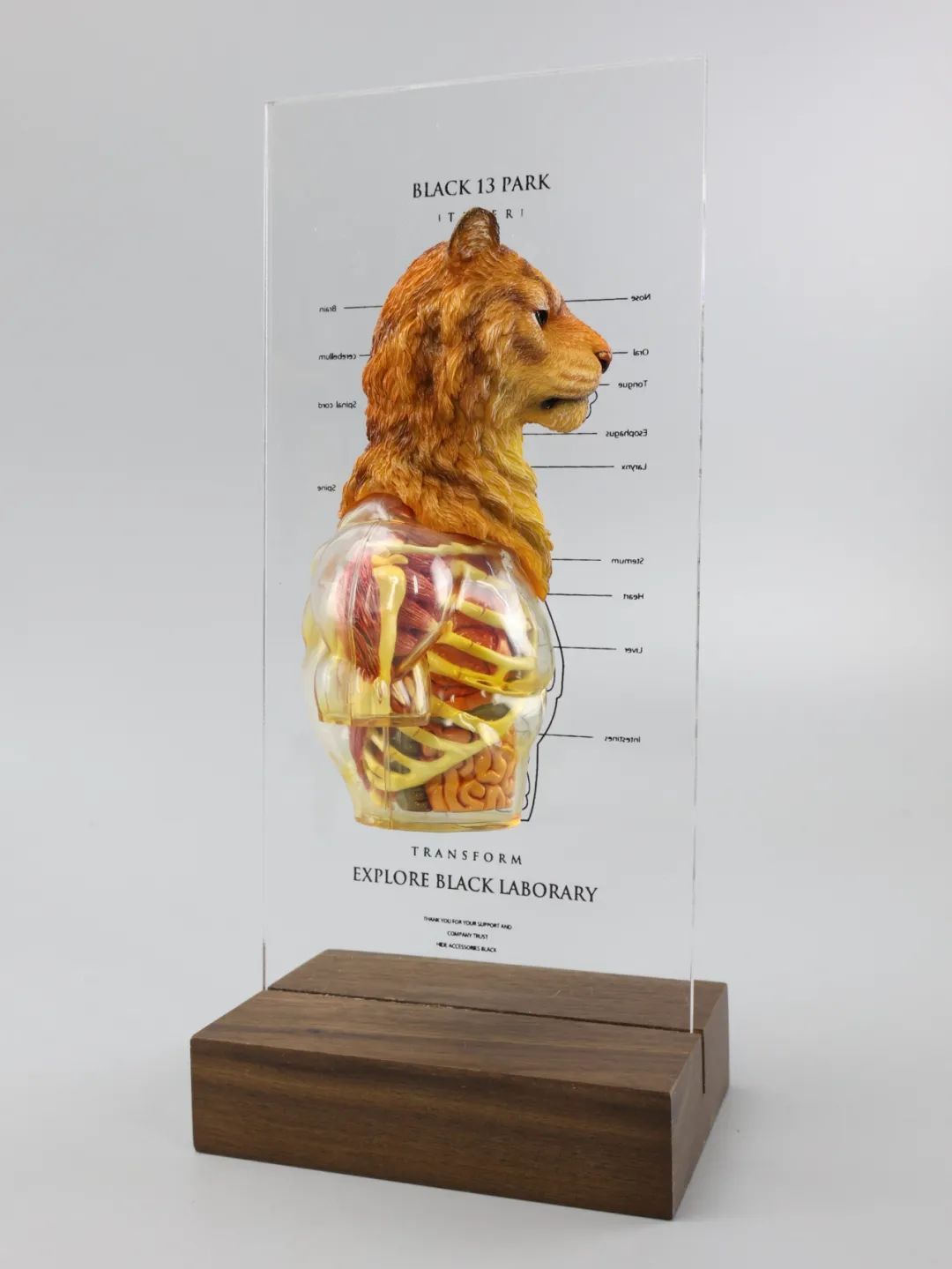 虎年玩老虎b13赤虎开箱简评