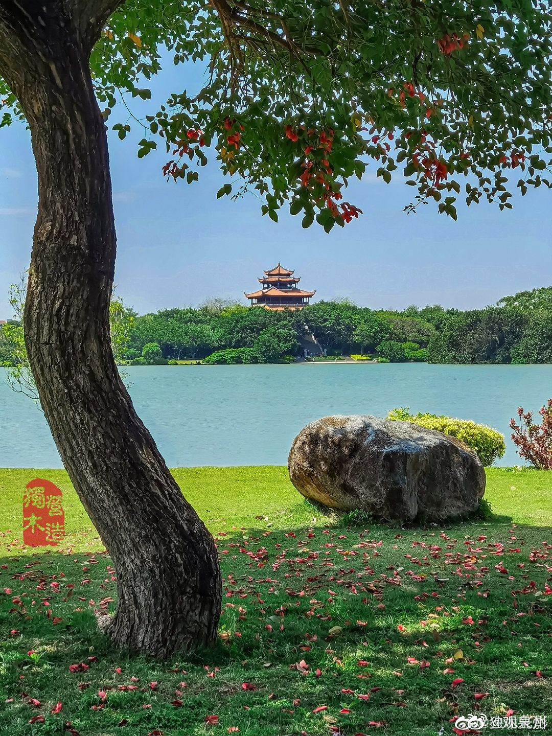 泉州老城西湖公园处处春意盎然