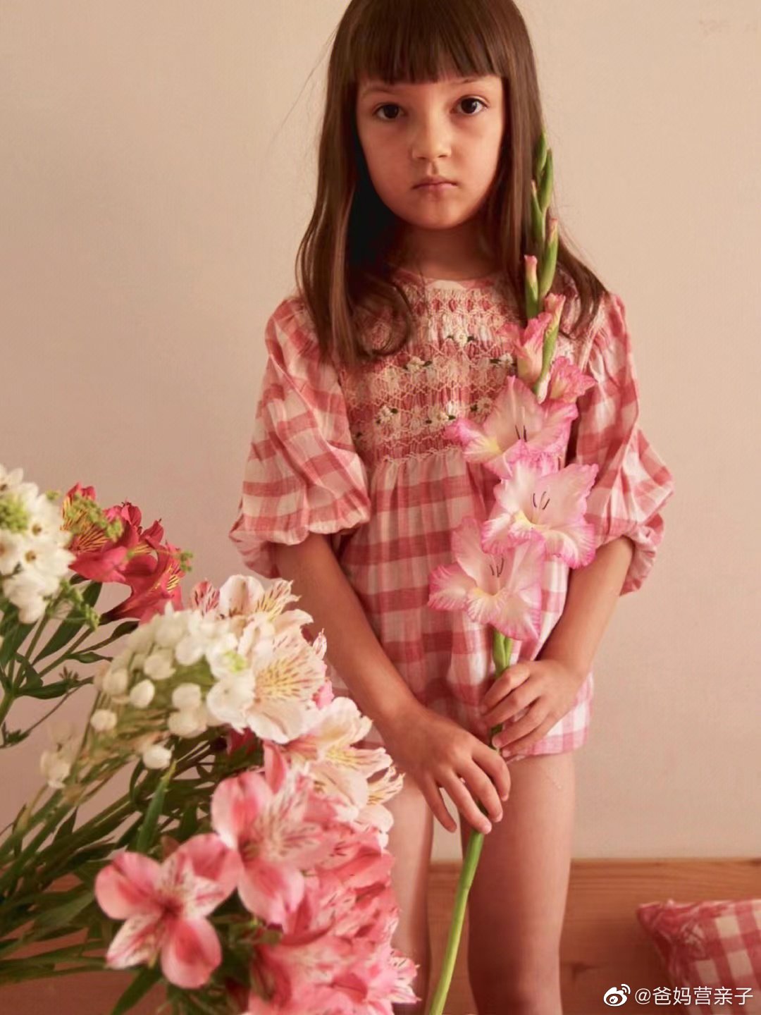 来自法国的小众品牌 bonjour diary,华丽的复古宫廷风……_高清图集