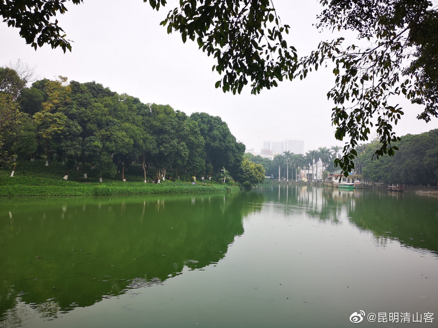清晨游览百色人民公园@镜界 @内拉在路上 @v美图美文欣赏v @镜界_高清