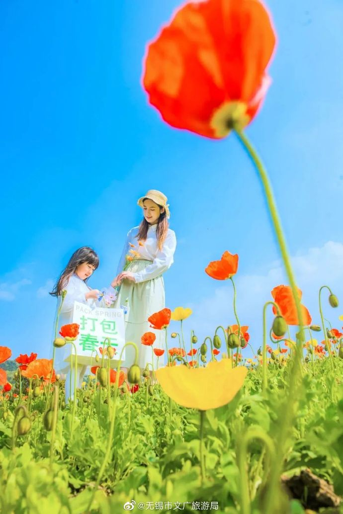 seo适合做自由工作吗