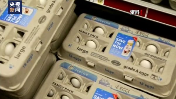 美国禽流感大暴发致鸡蛋价格飞涨休闲区蓝鸢梦想 - Www.slyday.coM 美国禽流感大暴发致鸡蛋价格飞涨休闲区蓝鸢梦想 - Www.slyday.coM