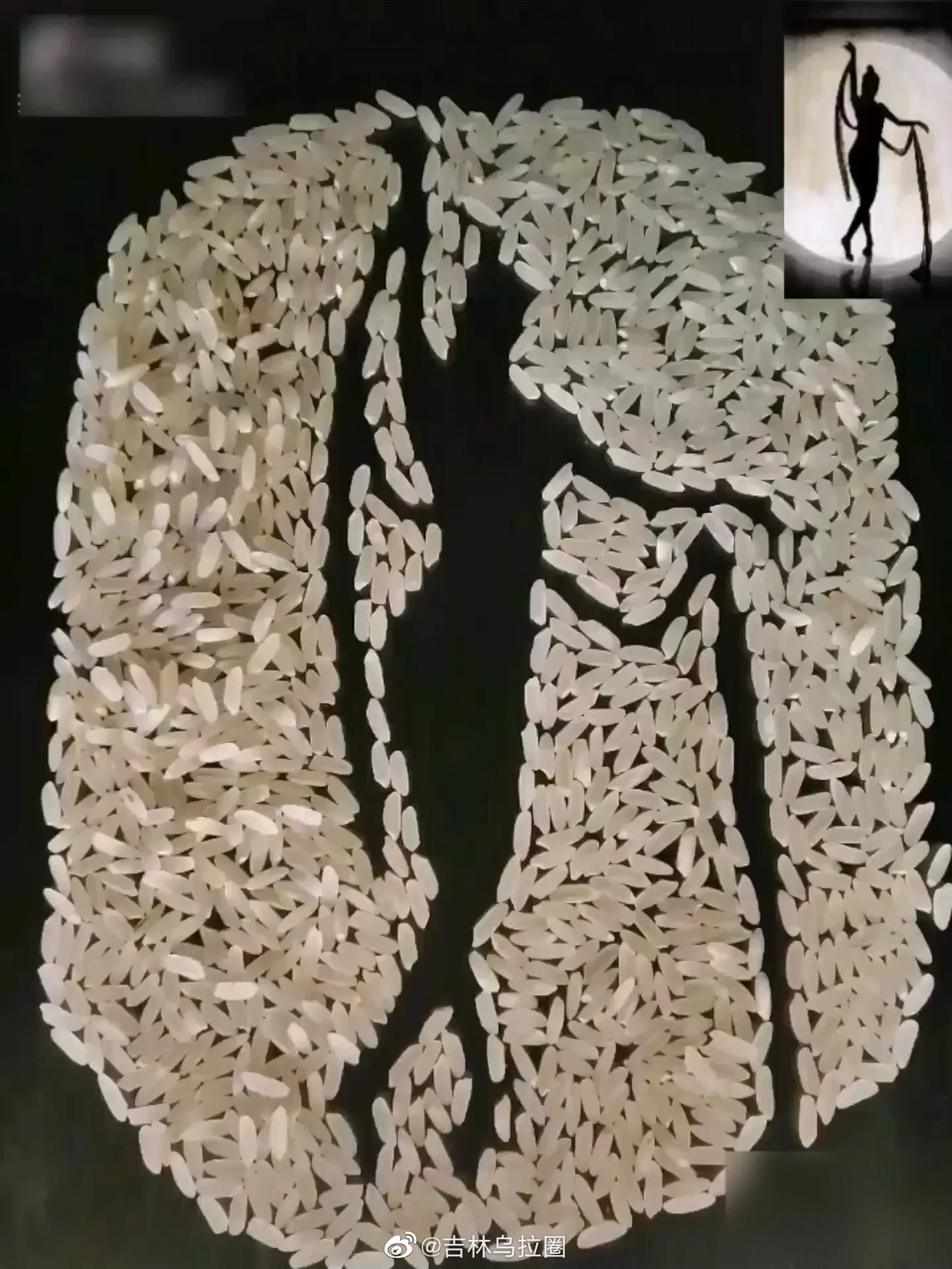 吉林一女子用大米作画惟妙惟肖惊艳众人_高清图集_新浪网