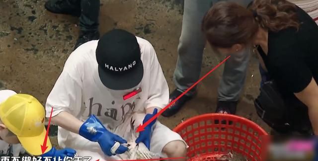 鹿晗化身"打工人",绑螃蟹赚钱被夹到手,陈赫黄渤的做法很调皮