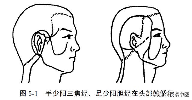 调好这两条经脉,解决偏头痛易如反掌|经络|少阳|经脉_新浪新闻