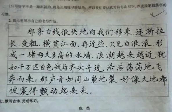 乡村女教师 批改学生作业 走红 字迹如印刷体 获家长一致好评 老师 作文 学生 新浪新闻