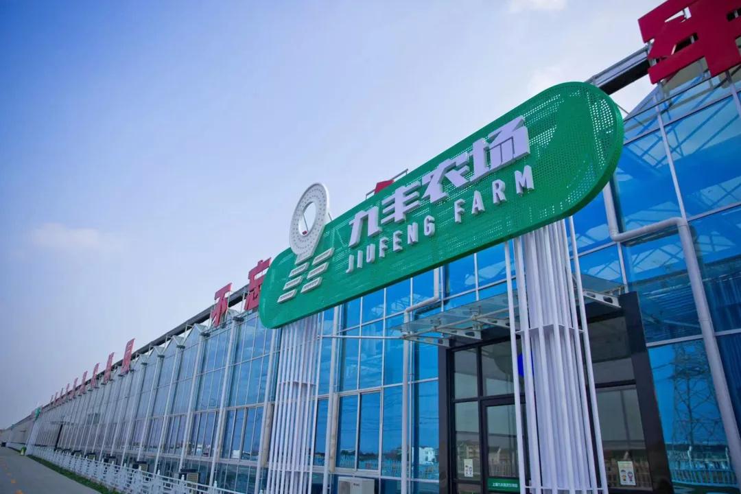 金山九丰农博园你去过吗|农业|蔬菜|程晨_新浪新闻