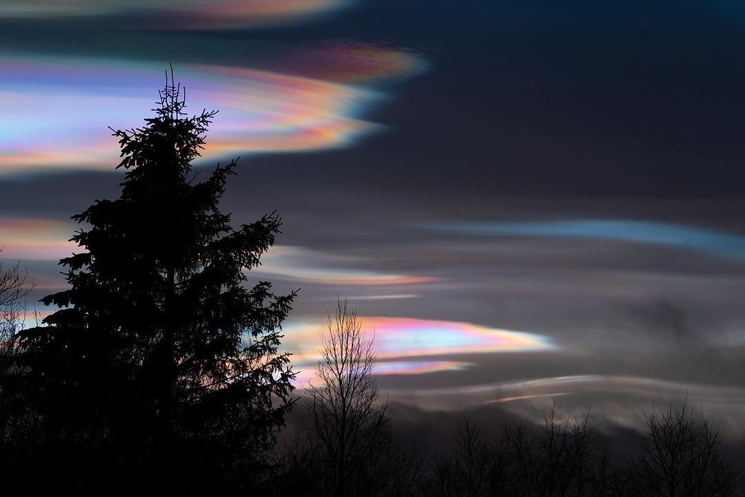 珠母云 llumsdelartic