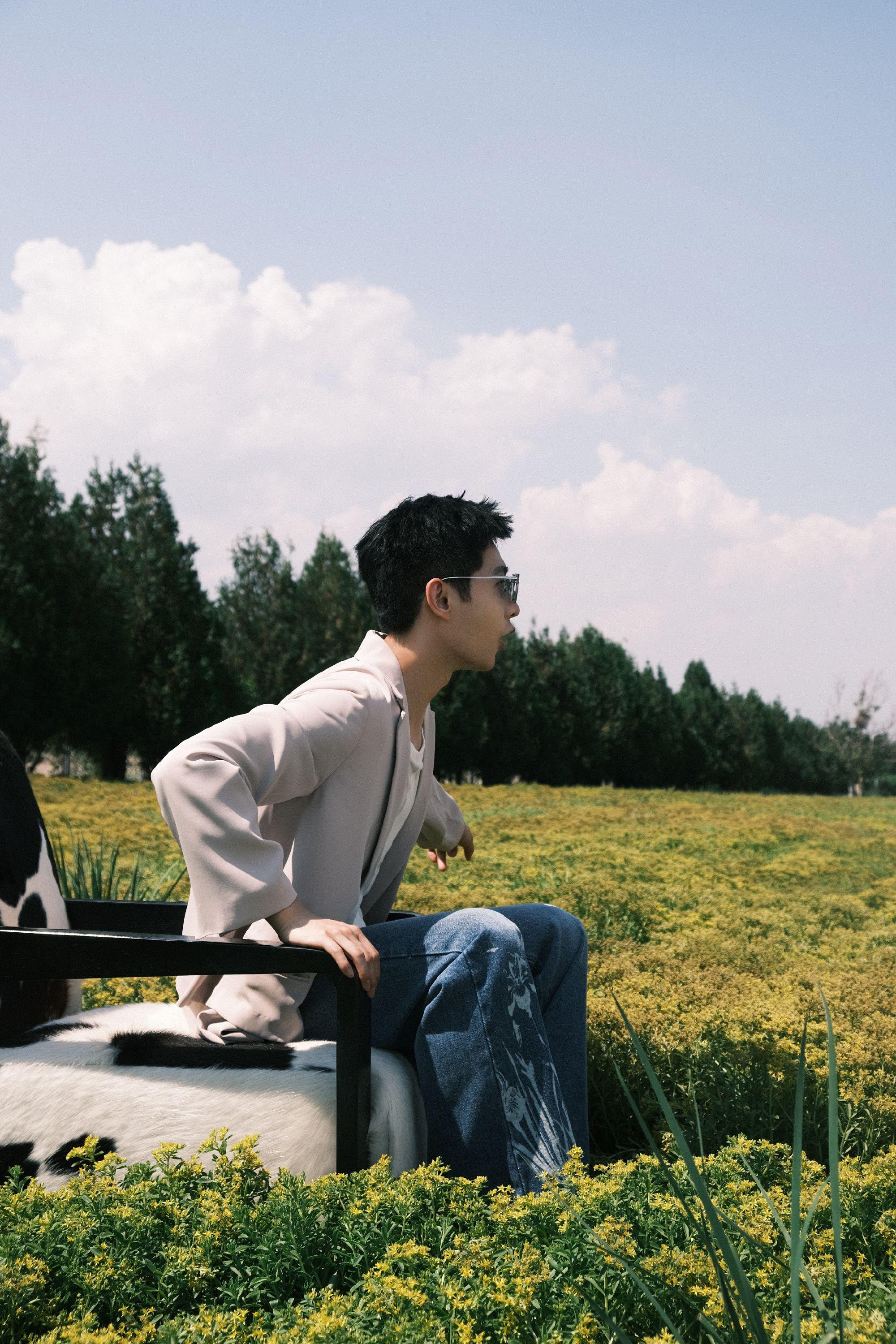 杨洋国庆户外田园四宫格plog 坐在奶牛座椅上晒太阳的咩咩