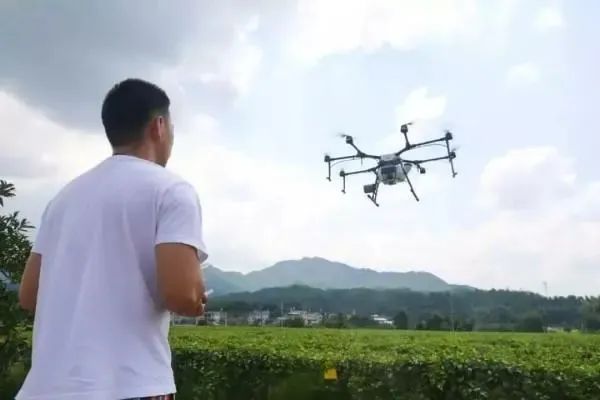 鸣镝｜这届年轻人，为什么选择当“绿领”？休闲区蓝鸢梦想 - Www.slyday.coM