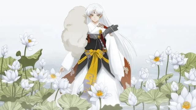 了犬夜叉和杀生丸的女儿们了|半妖的夜叉姬|犬夜叉|杀生丸_新浪新闻