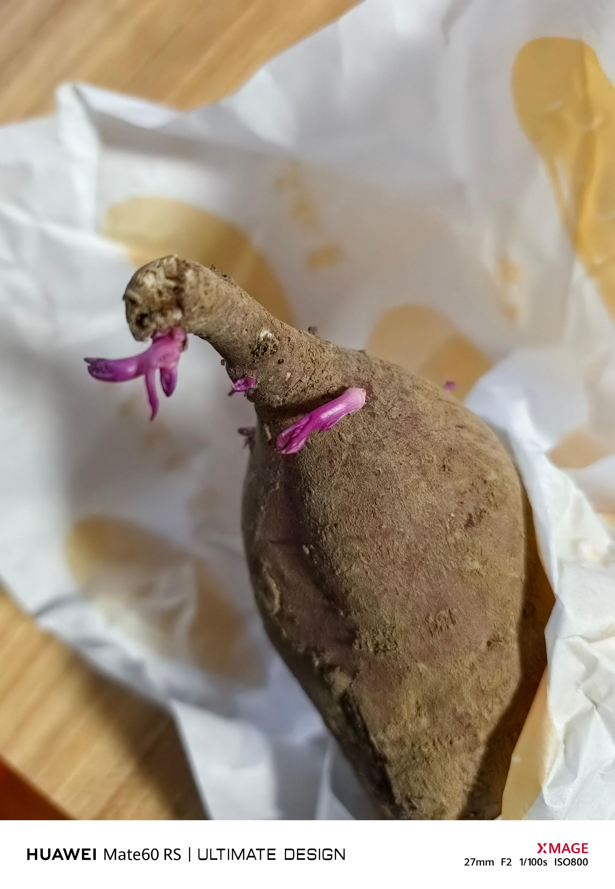 发芽的红薯还能吃吗?