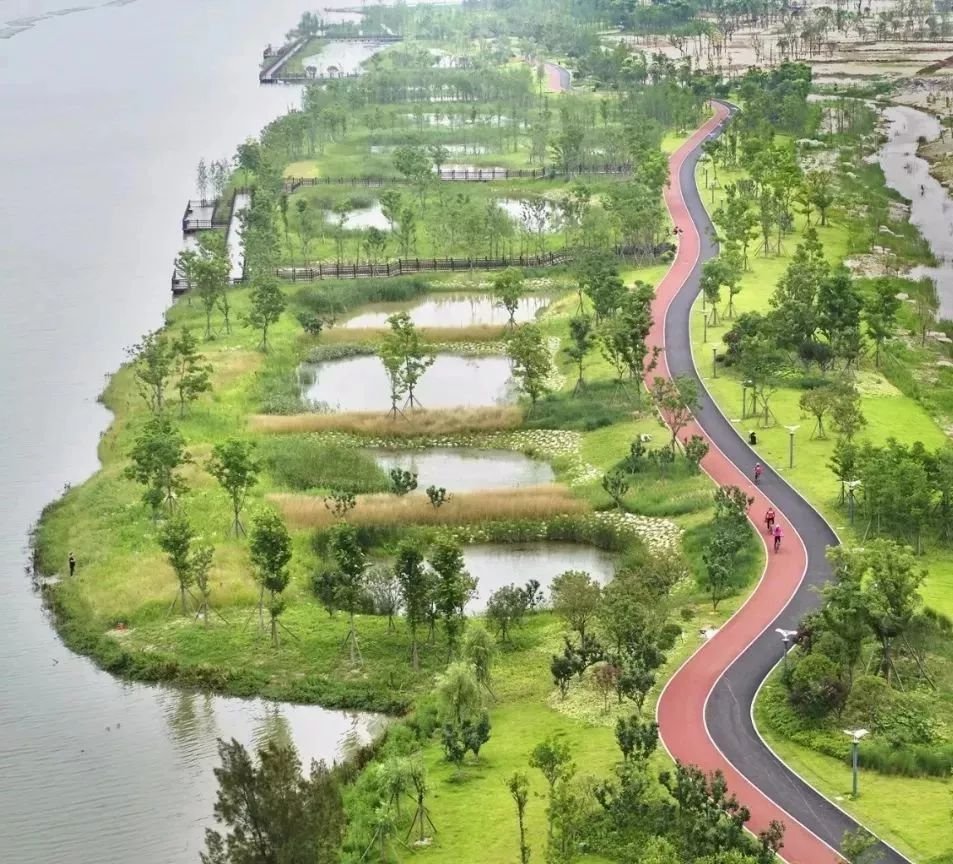 气清的春天,约上三五好友沿着这条"项链"骑上一圈,既能欣赏湿地风景