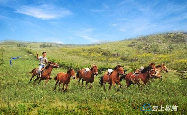 利川一产业园拟定为2021年湖北省现代农业产业园|利川市|齐岳山|湖北