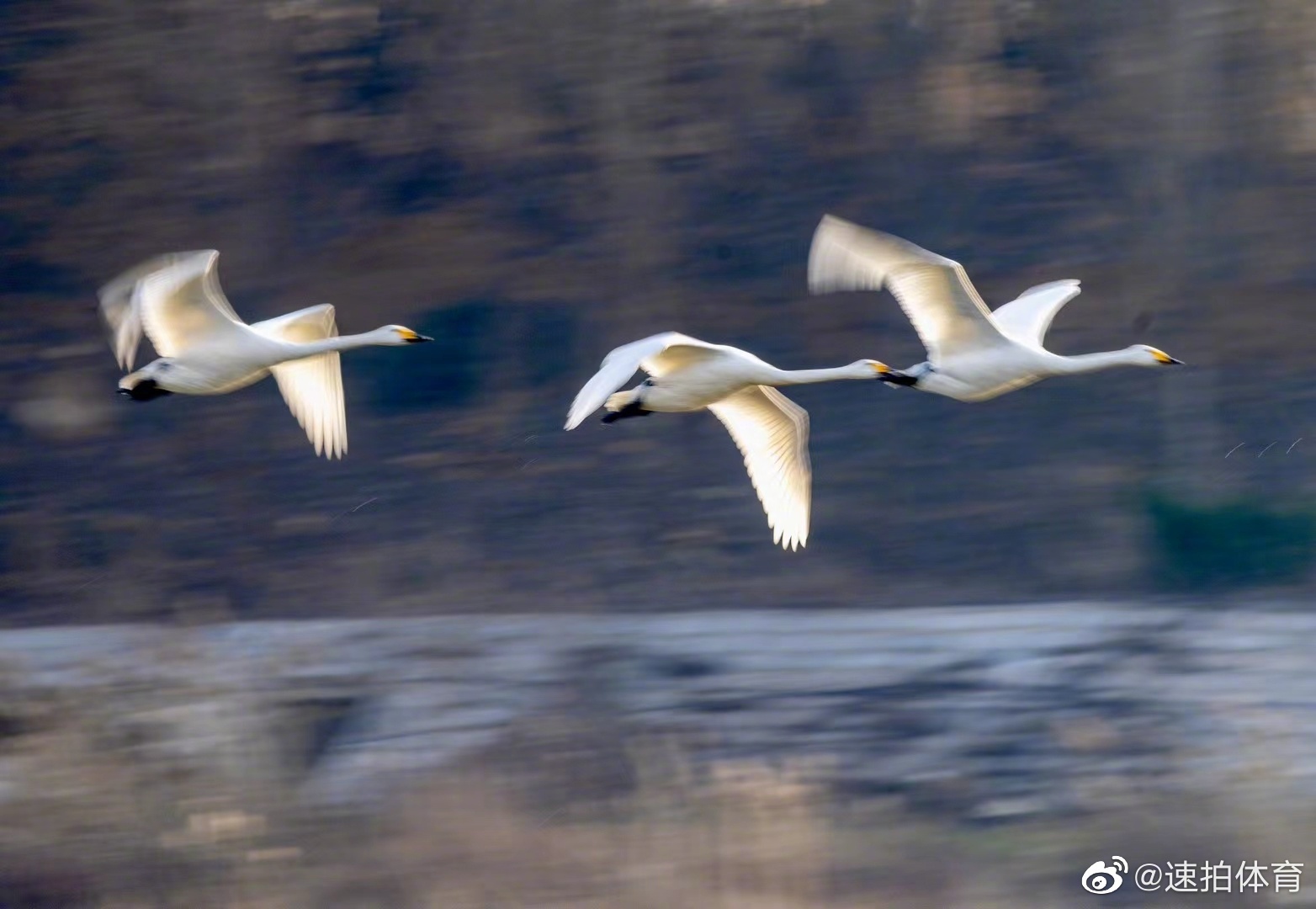 网站SEO优化一点通分类目录
