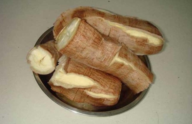 它是巴西的"有毒植物",移植到中国后,却成了抢手货|木薯|植物|巴西