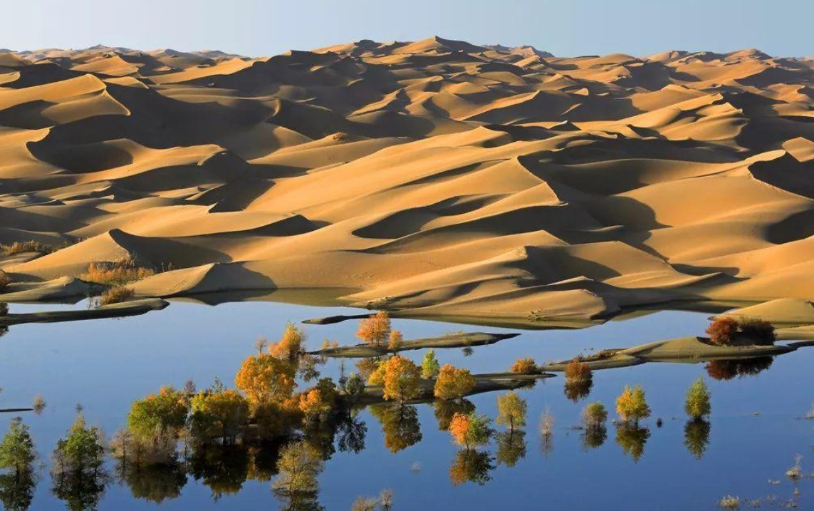 玛干沙漠如果真能够将其绿化,那肯定是一个好事情,毕竟对生态系统有利