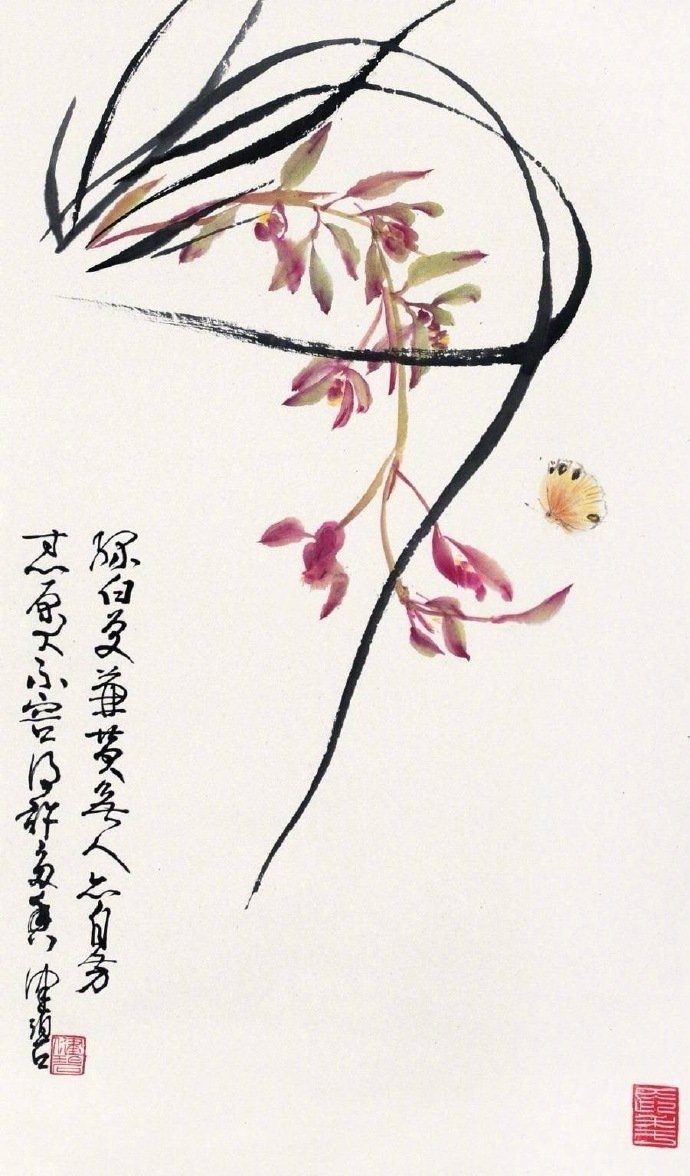 秋兰生 幽谷,蝶来花更香_高清图集_新浪网