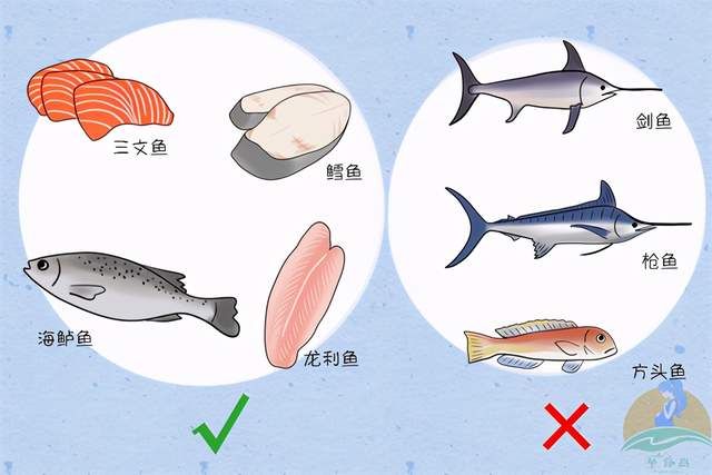 河鱼名声臭,却比龙利鱼更适合给宝宝吃|龙利鱼|巴沙|河鱼_新浪新闻