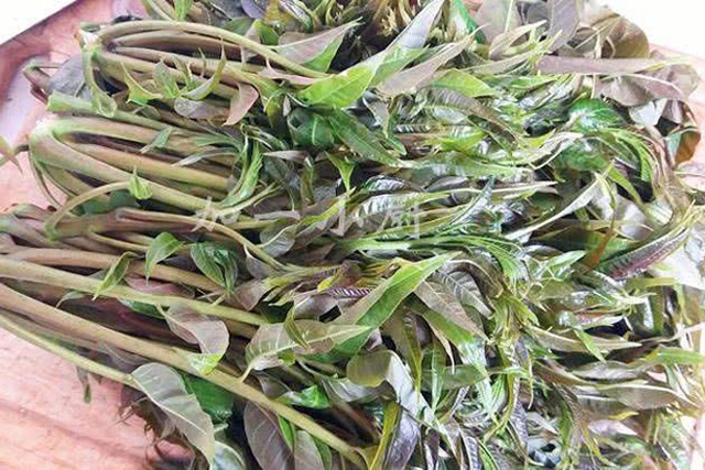 一时令菜价大涨,90一斤引热议,网友:4月份就不值钱了|香椿|香椿芽