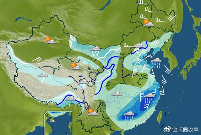 南方“回南天”了？别慌：“土台风”导致，农民注意防渍害防倒伏|南方|南天|油菜_新浪新闻
